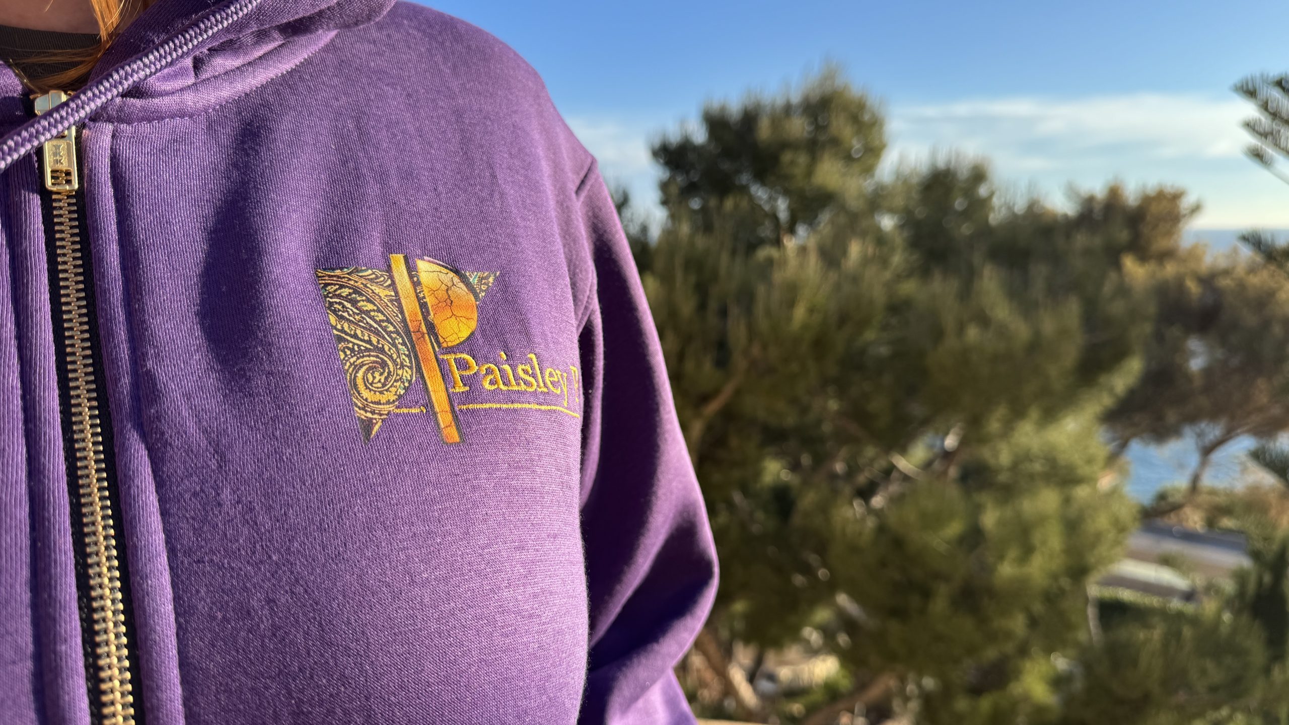 PAISLEY PARK HOODIE