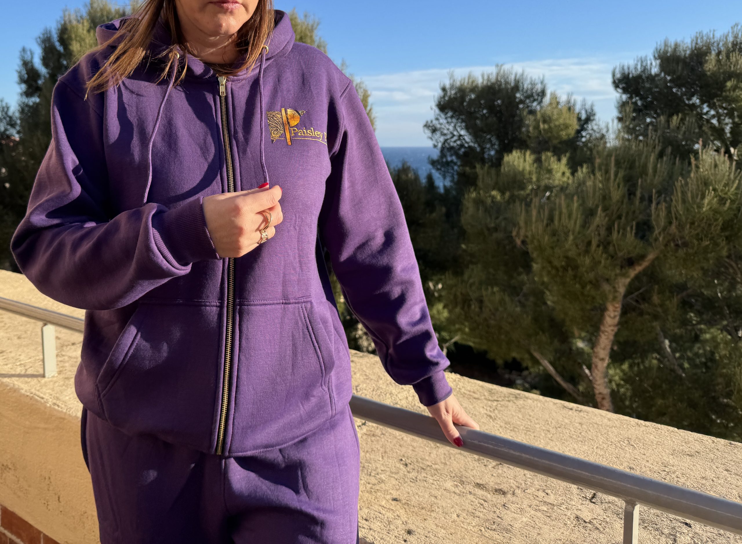 PAISLEY PARK HOODIE - Image 3