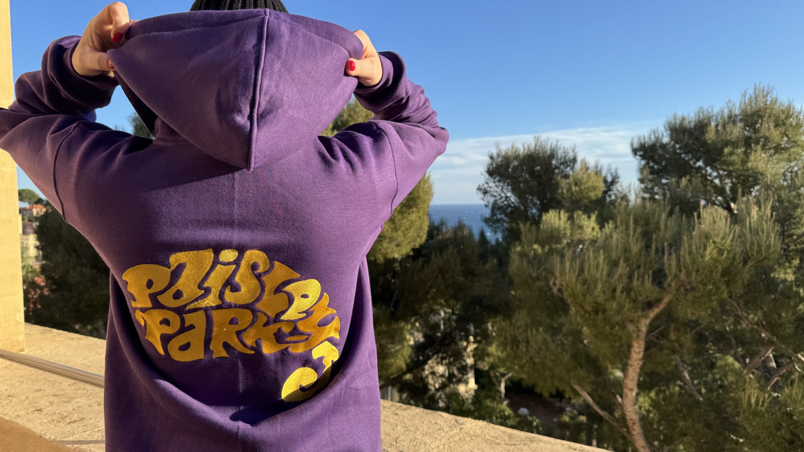 PAISLEY PARK HOODIE - Image 6