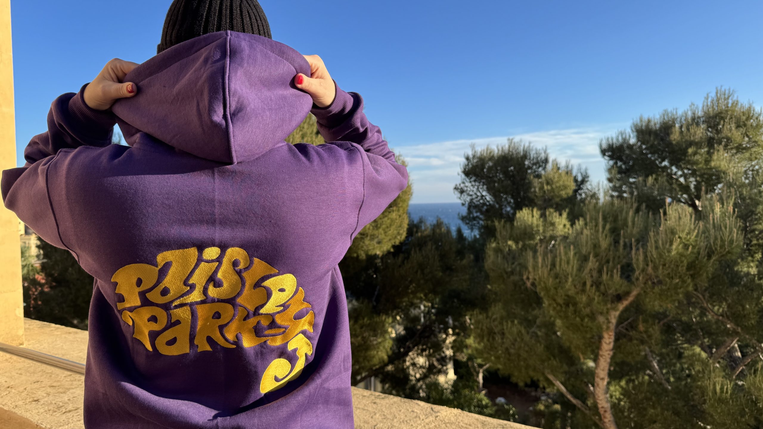 PAISLEY PARK HOODIE - Image 7
