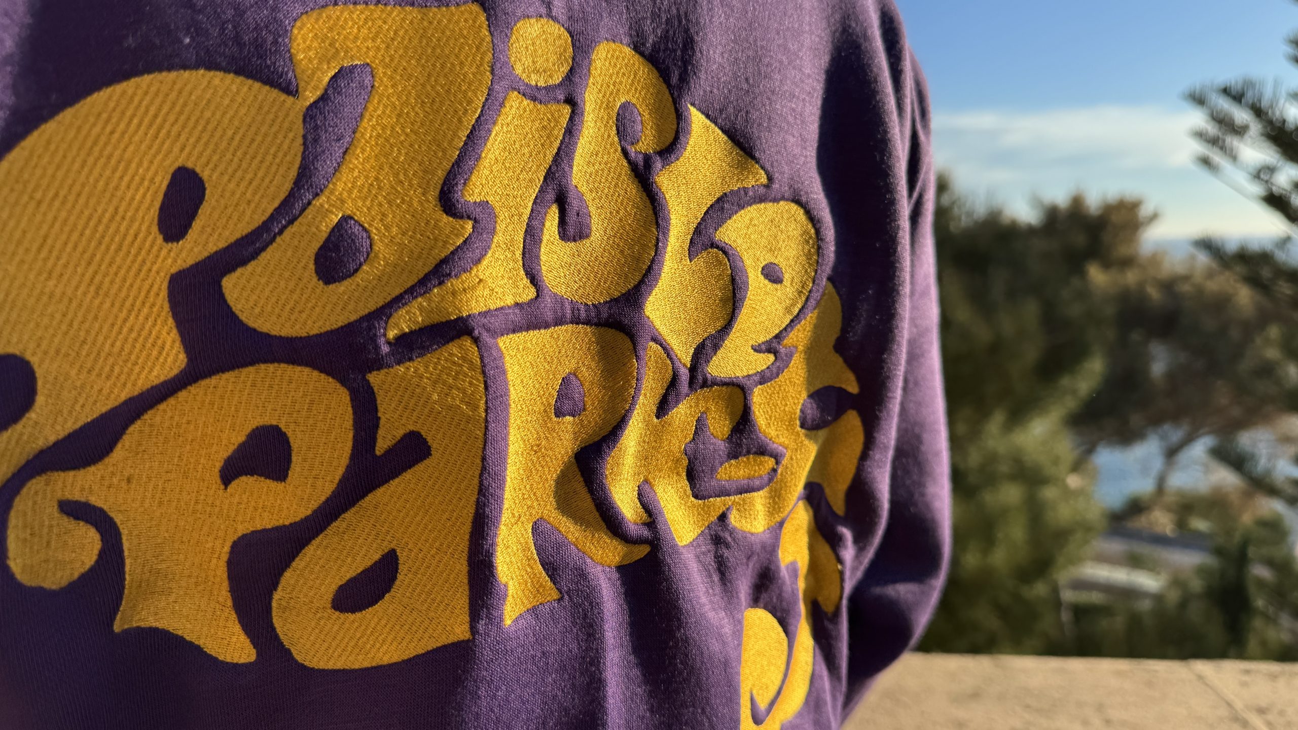 PAISLEY PARK HOODIE - Image 8