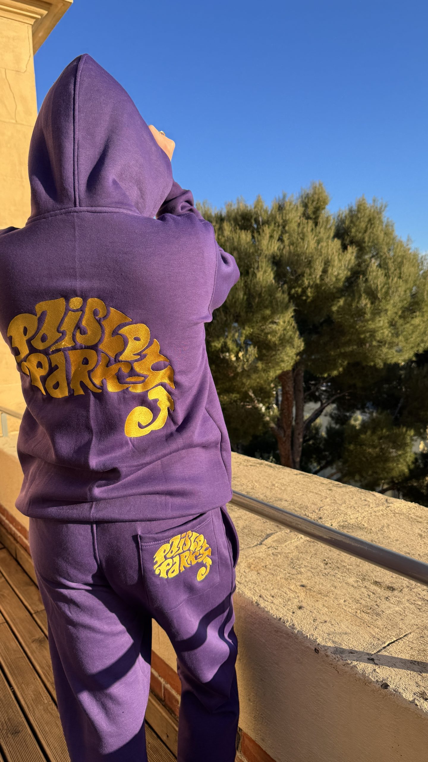 PAISLEY PARK HOODIE - Image 9